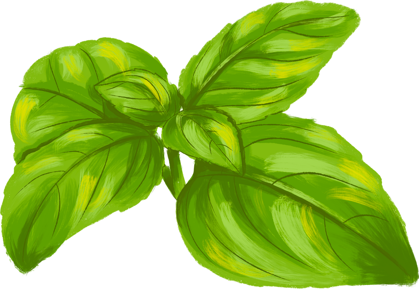 Painterly Basil